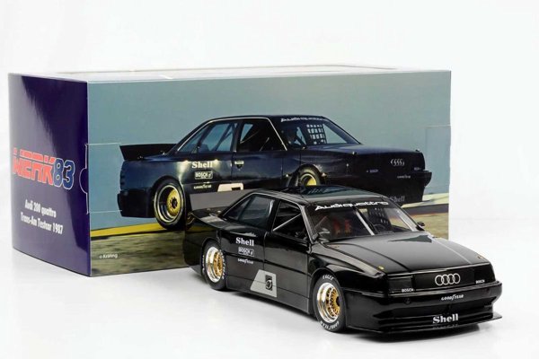 Audi 200 Quattro Trans-Am Test Car 1:18 Werk83